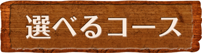 選べるコース